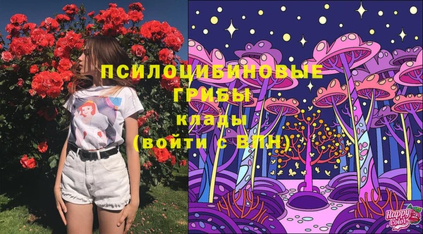 дживик Горнозаводск