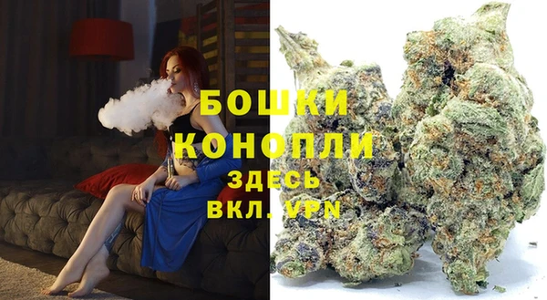 дживик Горнозаводск