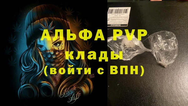 дживик Горнозаводск