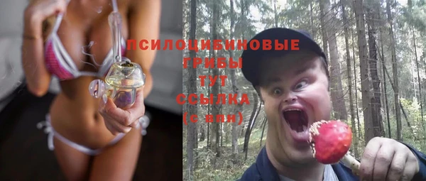 соль курить ск Горняк