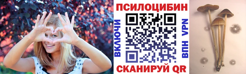 Галлюциногенные грибы прущие грибы Благовещенск